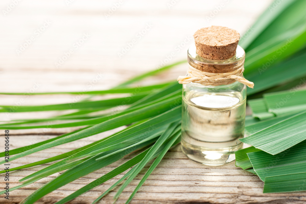 lemongrass essential oil in the bottle, with fresh lemongrass leaves, on  the wooden table Stock Photo