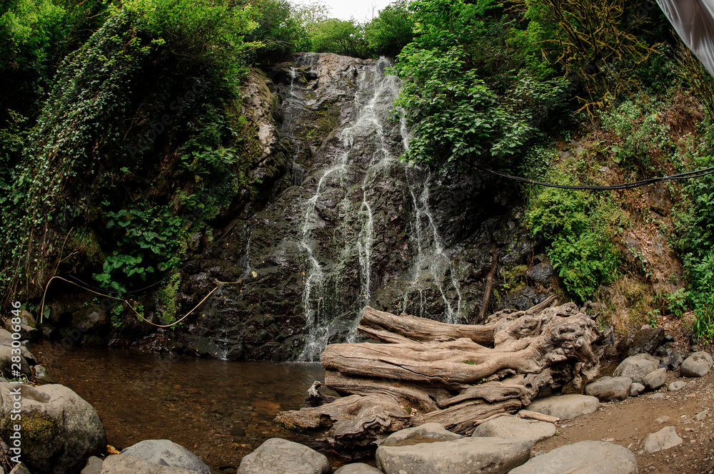 Fish-eye photo landscape of the of the beautiful waterfall in the forest with the snag in the foreground Fish-eye photo landscape of the of the beautiful waterfall in the forest with the snag in the foreground