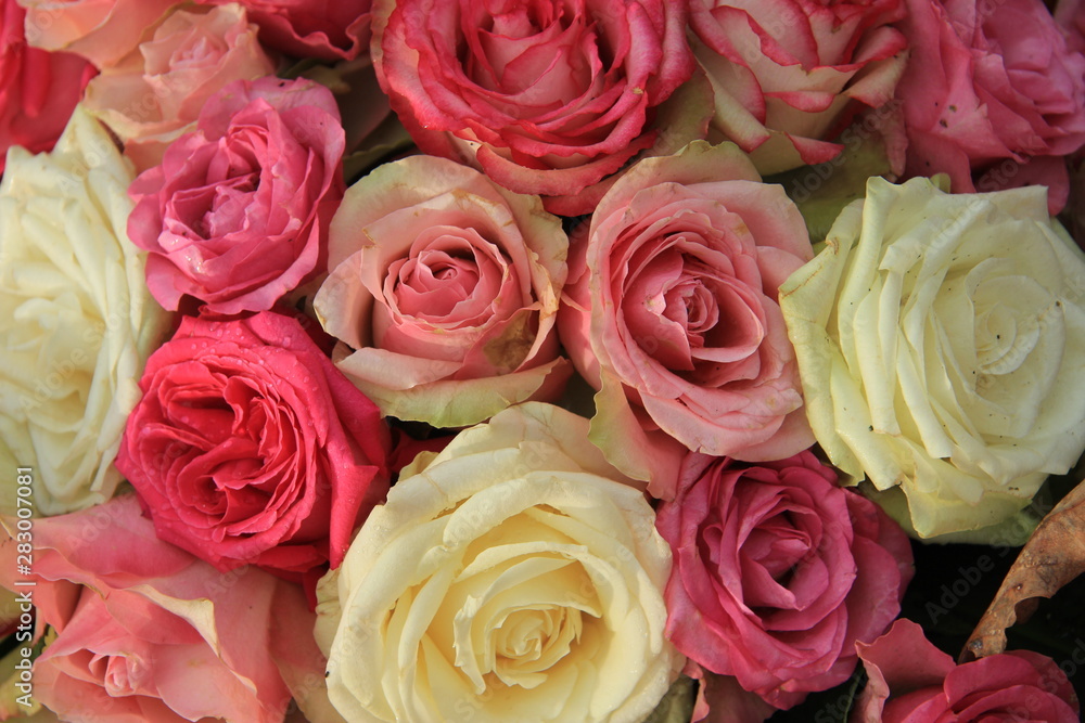 Mixed pink bridal roses Mixed pink bridal roses