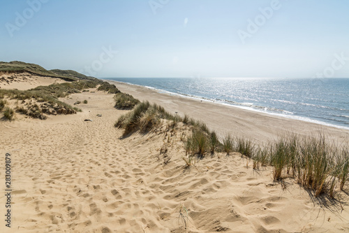 Hiking trail in beautiful dune landscape with beach and ocean in the background on the island of Sylt  Germany