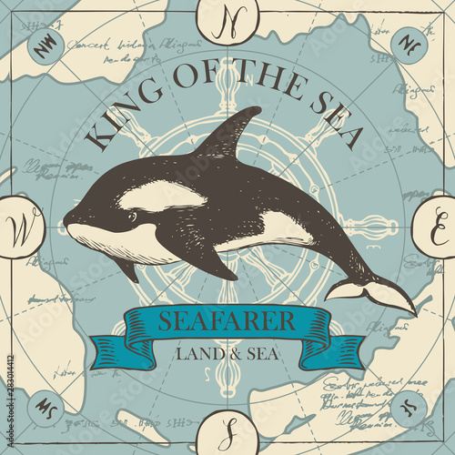 Vector banner with big hand-drawn killer whale on the background of old map in retro style. Illustration on the theme of travel, adventure and discovery with words King of the sea