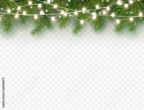 Border with green fir branches and lights isolated on transparent background. Pine, xmas evergreen plants banner. Vector Christmas tree and garland decoration.
