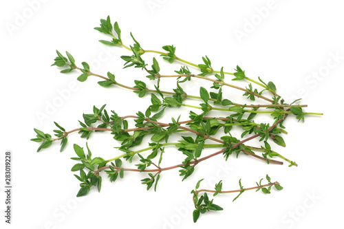 green thyme bunch isolated on white background. top view