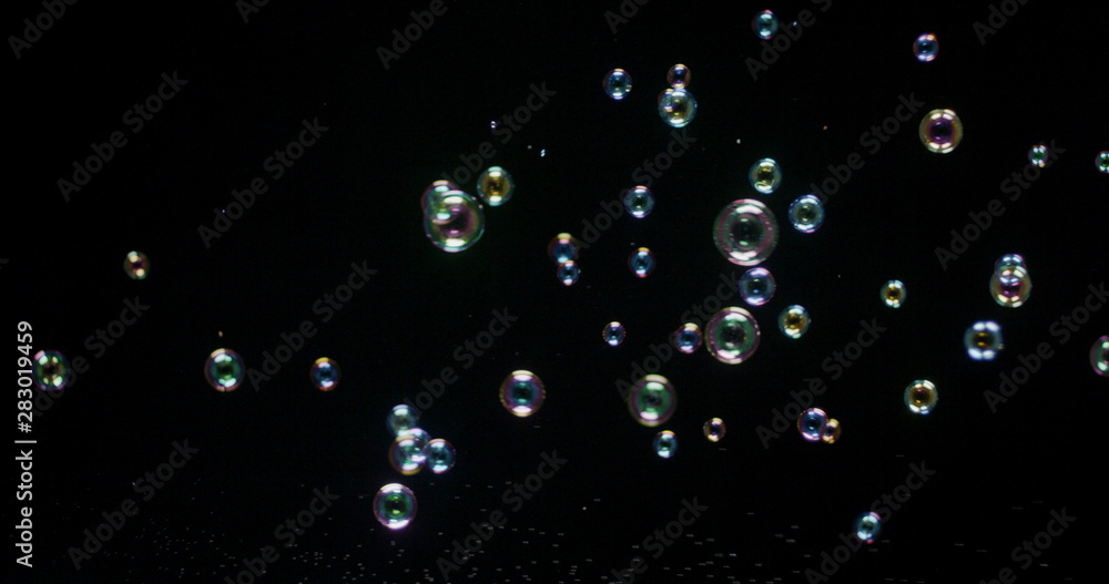 Floating bubbles isolated over a black background