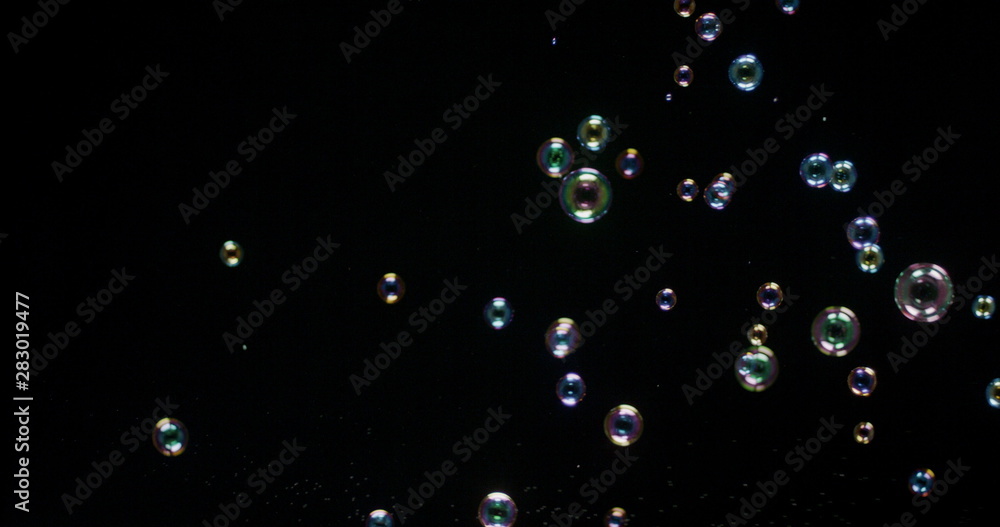 Floating bubbles isolated over a black background Floating bubbles isolated over a black background