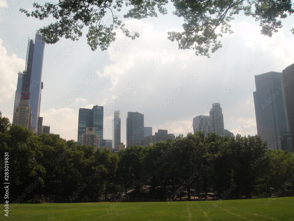 Late afternoon summer view from lawn of Central Park New York City USA Late afternoon summer view from lawn of Central Park New York City USA