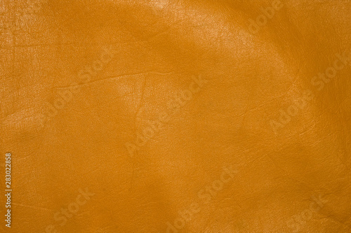 Wallpaper Mural Background, texture of bright yellow skin. Torontodigital.ca