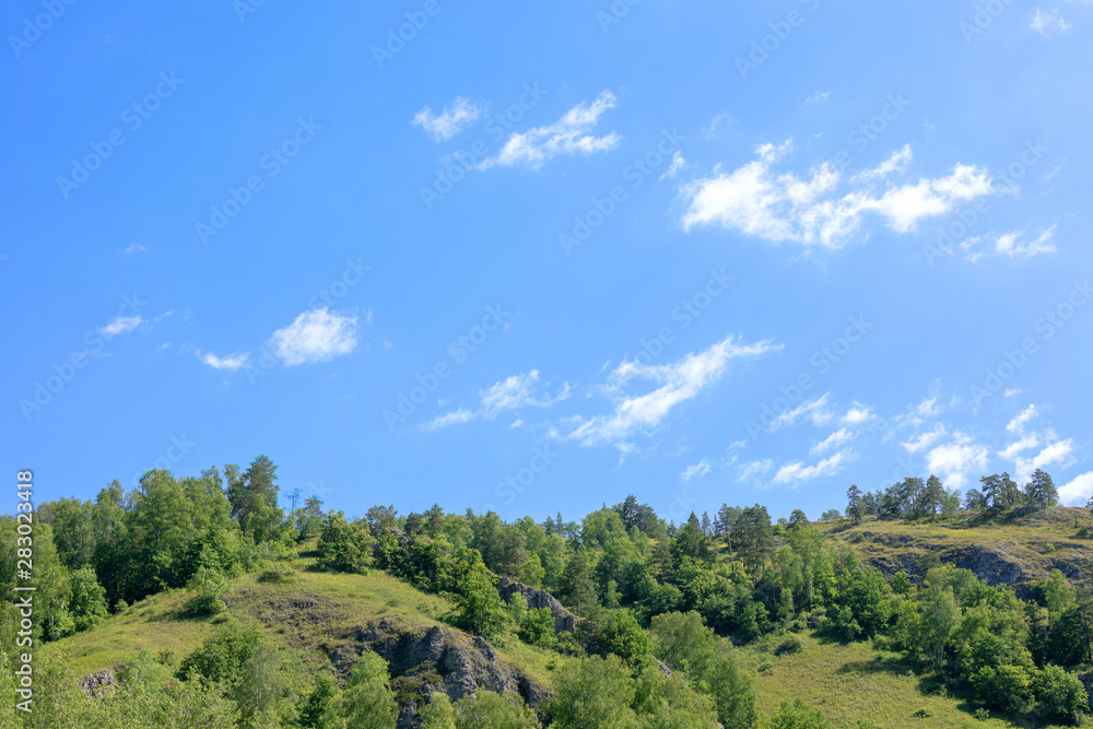 bright summer blue sky above the green forest growing on top of the mountains. Beautiful summer landscape with mountains, blue sky and trees.