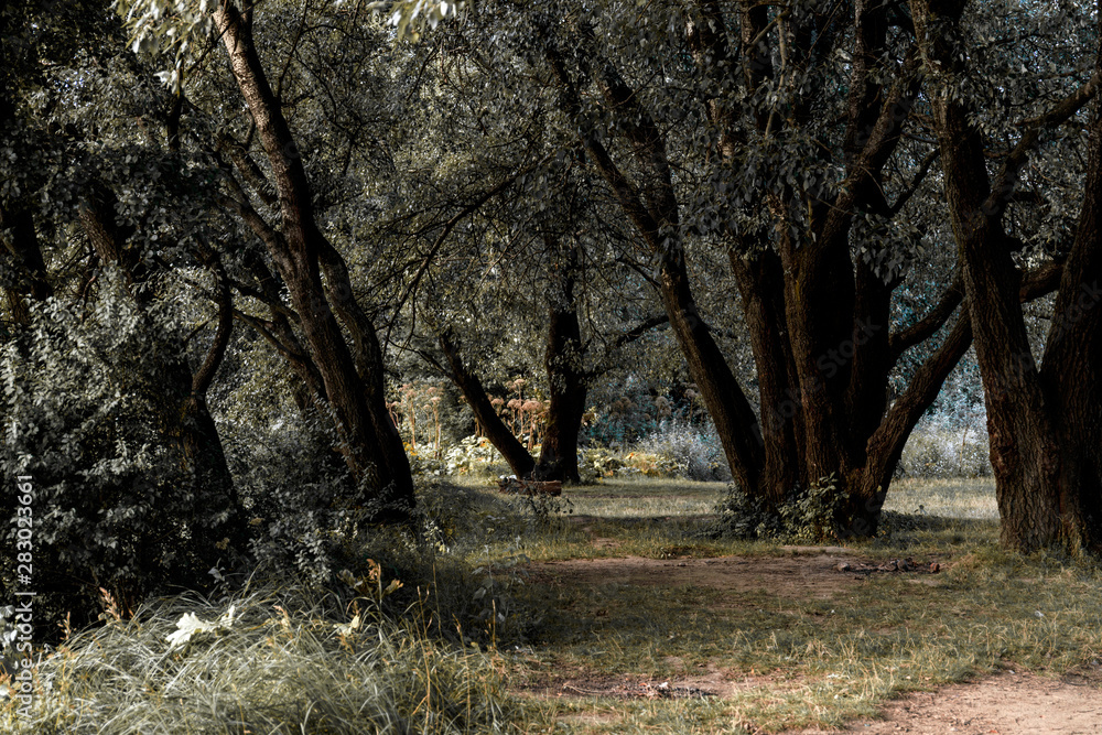 Fototapeta premium summer landscape misty morning on the river in the Ural Mountains and the railroad along the shore