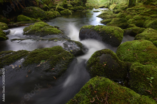 The Withybrook  a stream on Bodmin Moor Cornwall