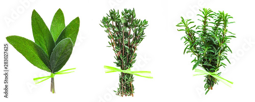 Drei Kräuter Bund auf weißem Hintergrund