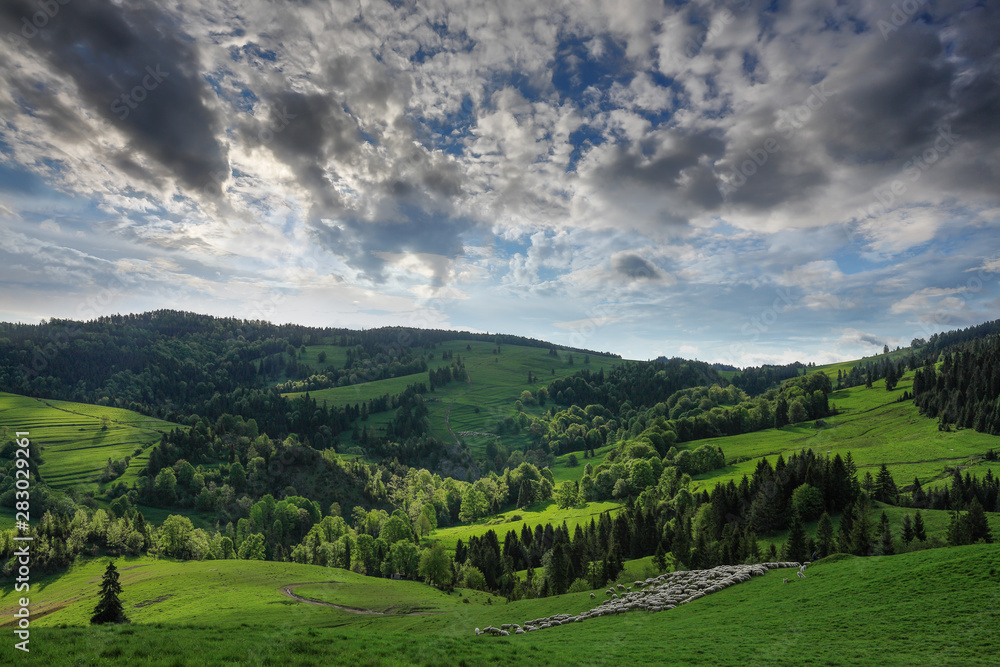 spring in the Pieniny in southern Poland