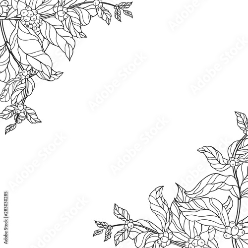 Corner ornate frame with coffee branches with vintage leaves and beans. Border for coffee shop or house. Vector isolated illustration. Vintage floral background.