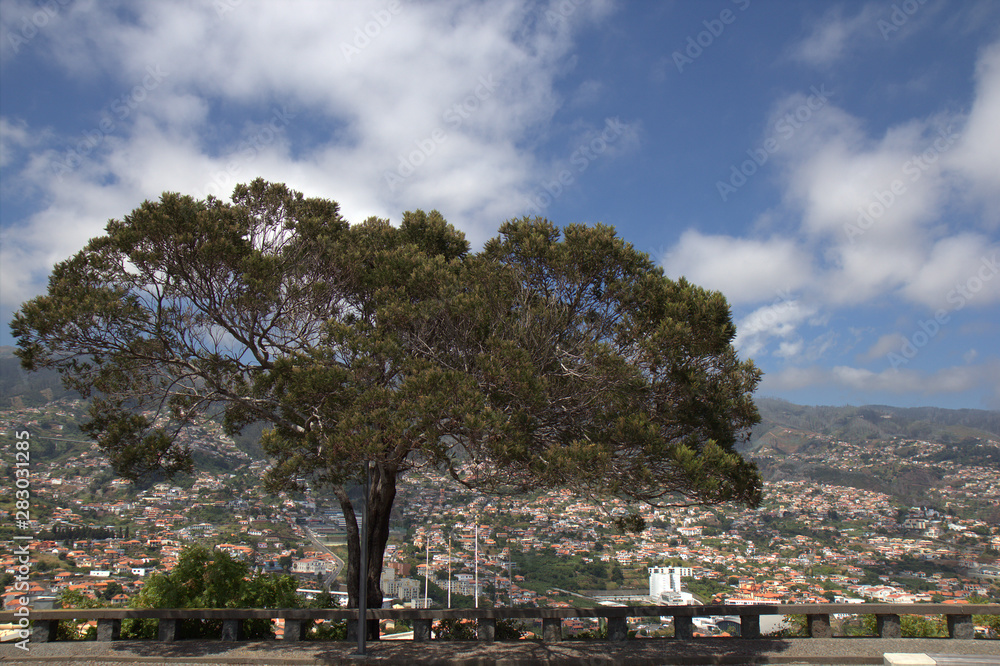 Miradouro Pico dos Barcelos - Madeira - Portugal Miradouro Pico dos Barcelos - Madeira - Portugal
