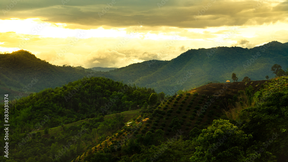 Nature, evening, photography, landscapes, mountains, Chiang Rai