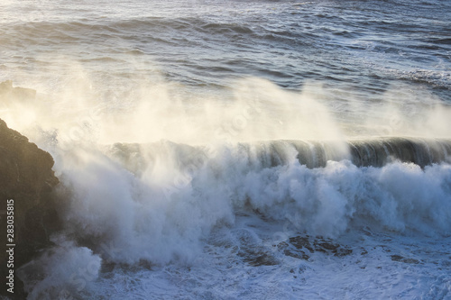 Fototapeta Naklejka Na Ścianę i Meble -  Big waves in Atlantic ocean Nazare, Portugal