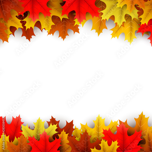 Autumn background with colorful maple leaves.