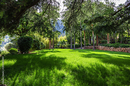 Fototapeta Naklejka Na Ścianę i Meble -  Picturesque landscape, green lawn in tropical garden