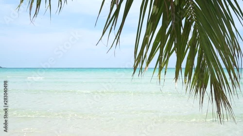 The coconut tree leaves with background with  sea waves on the beach for background