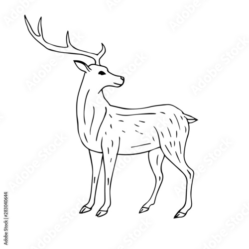 Vector hand drawn sketch forest deer isolated on white background