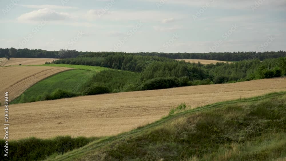 rural landscape with green field and blue sky rural landscape with green field and blue sky