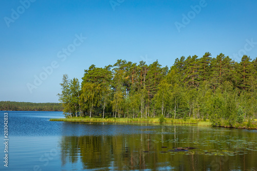 Kurjenrahka National Park. Nature trail. Green forest at summer time. Turku, Finland. Nordic natural landscape. Scandinavian national park. photo