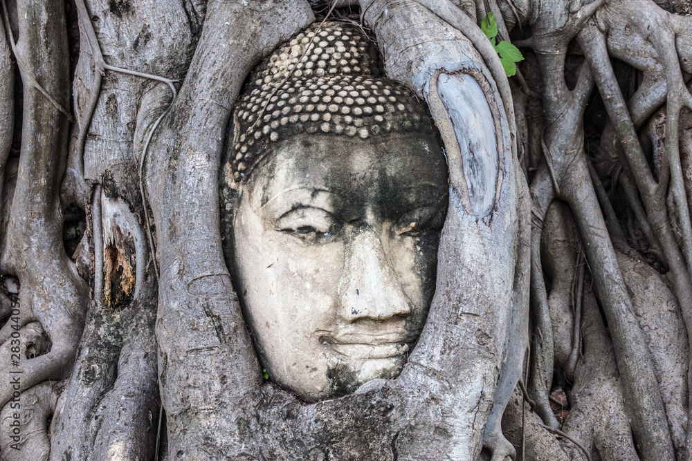 Buddha Head at Wat Mahathat