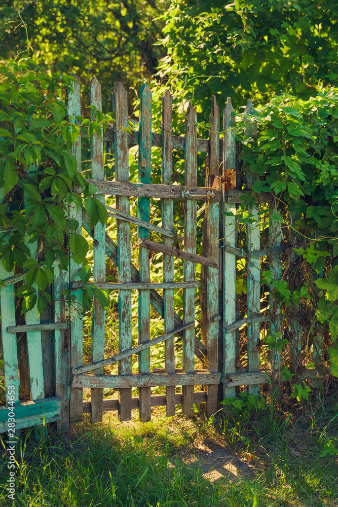 Old shabby wooden garden gate and fence
