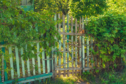 Old shabby wooden garden gate and fence