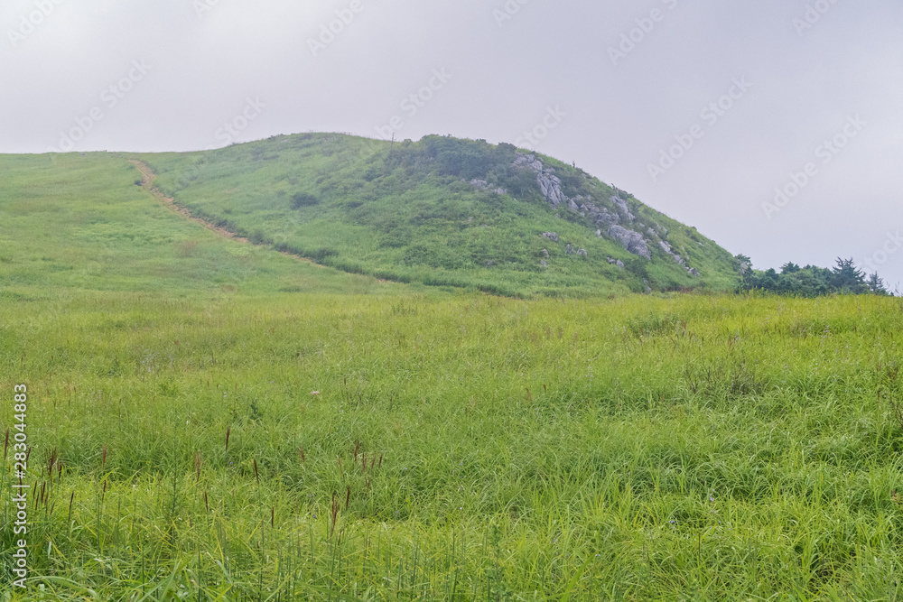 Early summer Shikoku Karst in japan Early summer Shikoku Karst in japan
