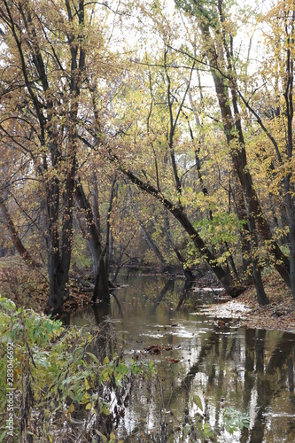 Late fall at Mud Creek Park  Fishers  Indiana