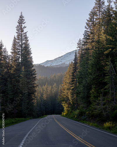 Mountain road winds through the forest on Mt. Rainier National Park, Washington