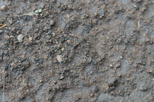 Rocks, small sandy soil on the floor