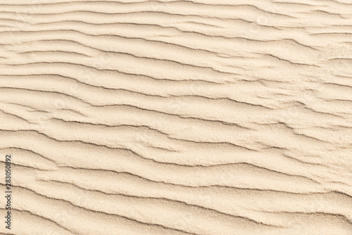 nature backround of smooth sand wave texture