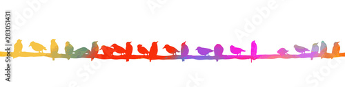 Colorful birds sit on wires. Vector illustration