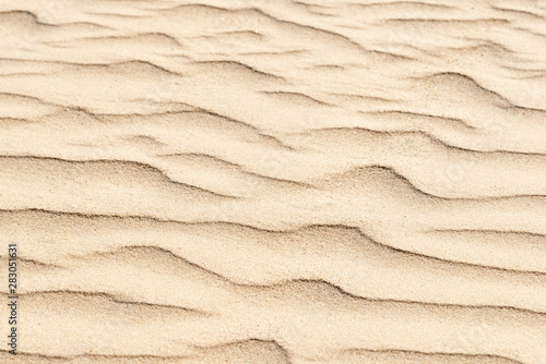 nature backround of smooth sand wave texture