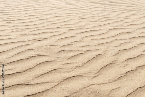 nature background of smooth sand wave texture