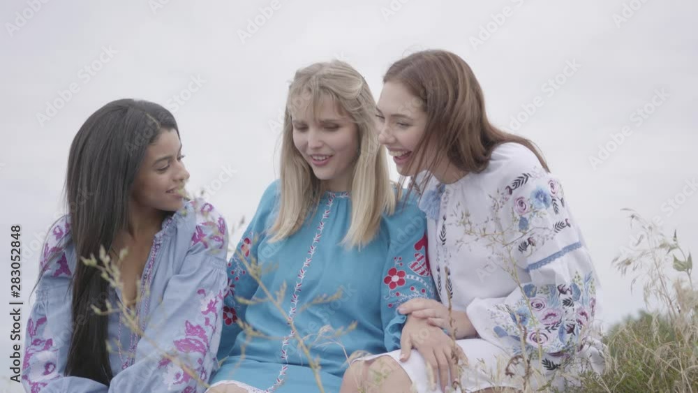 Three young girlfriends wearing long summer fashion dress converse on the field. Two Caucasian girls and one African American spending leisure time outdoors. Three young girlfriends wearing long summer fashion dress converse on the field. Two Caucasian girls and one African American spending leisure time outdoors.