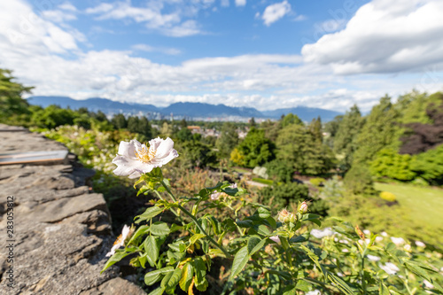 Blick über Vancouver