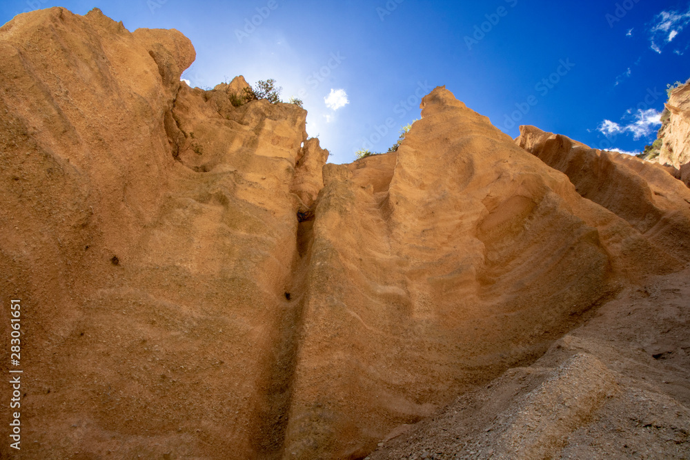 Fototapeta premium Lame Rosse