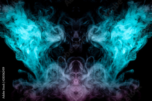A mystical image of a creature, animal or ghost with wings and a beak of green and pink smoke on a black isolated background. Print for clothes.