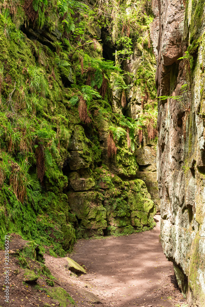 Lud's Church moss covered chasm at The Roaches, in the Peak District National Park.