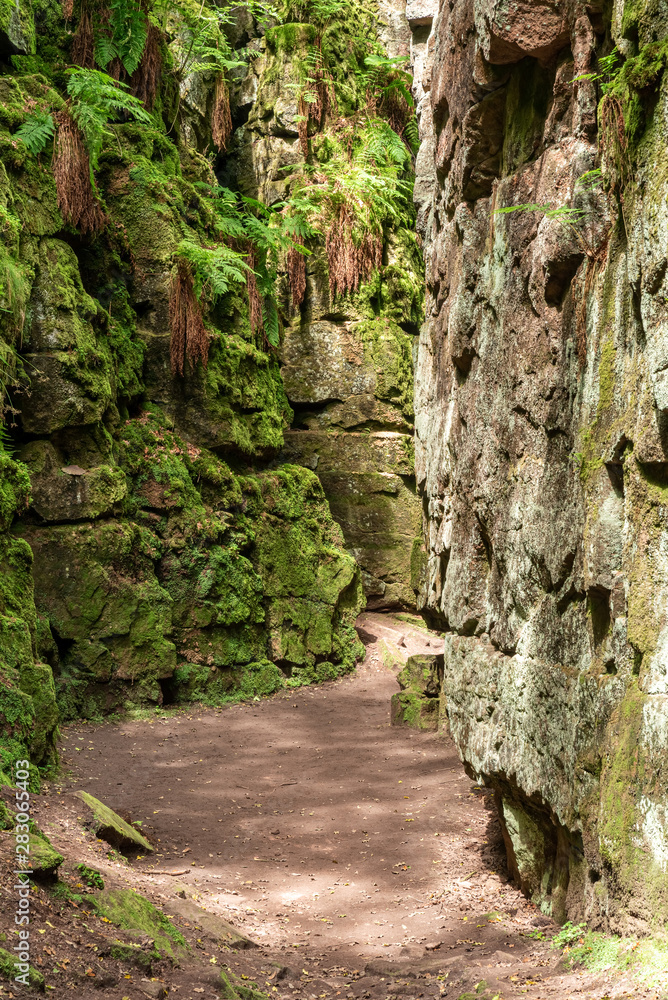 Lud's Church moss covered chasm at The Roaches, in the Peak District National Park. Lud's Church moss covered chasm at The Roaches, in the Peak District National Park.