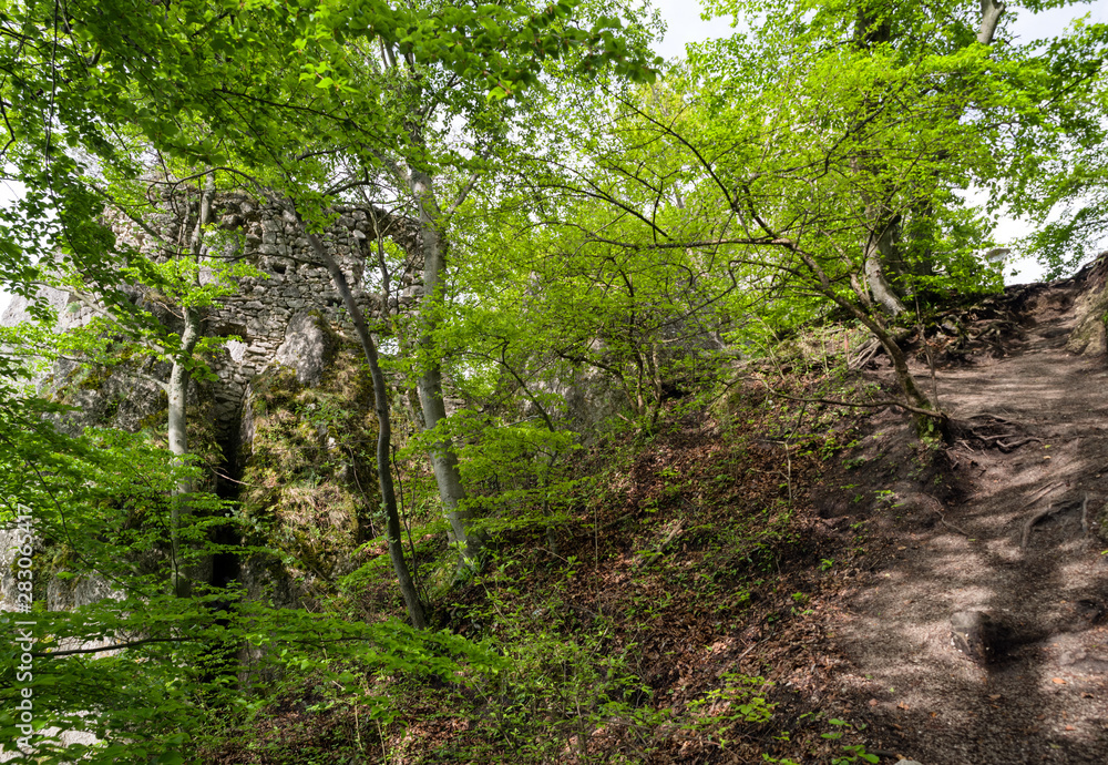 Fototapeta premium Sulov castle, Slovakia