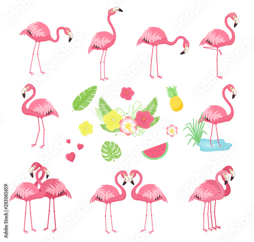 Collection of pink vector flamingos. Cartoon illustration