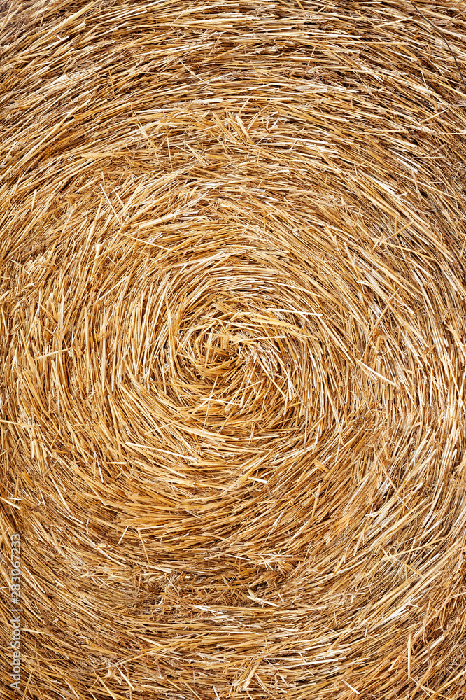 Close up view of hay roll. Abstract background Close up view of hay roll. Abstract background