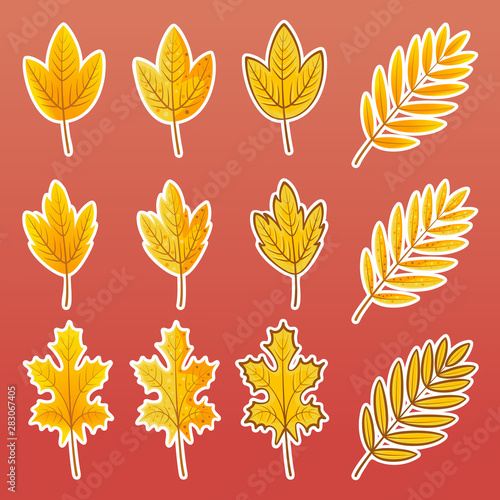 Set of vector illustrations of complex yellow leaves in a flat style