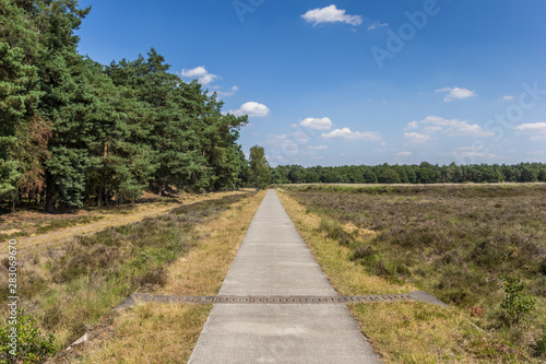 Bicycle path in national park Dwingelderveld, Netherlands