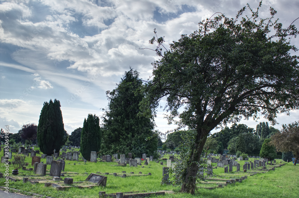 Trees in the cemetery