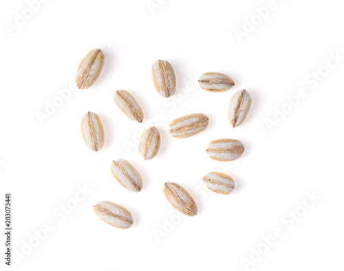 grain barley on a white background. top view